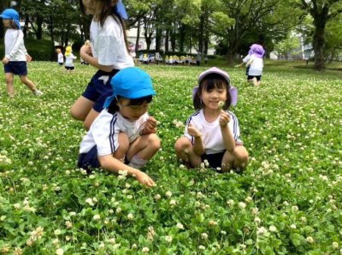 お散歩